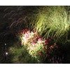 Solar-Powered Cast Aluminium Warm White LED Spotlight for Outdoor Garden