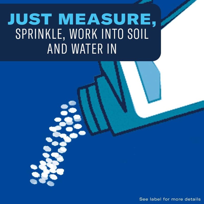 BioAdvanced 701100A 2 In 1 Rose Fertilizer and Flower Care