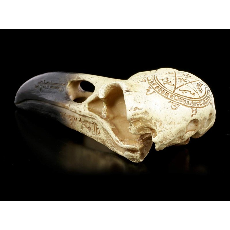 Gamital Alchemy Gothic Raven Skull - Omega | Fantasy Raven