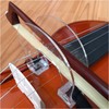 Cat Hand Violin Boeing Guide Bow Orthodontic Practice Equipment Violin