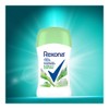 Rexona Antitranspirante Bamboo En Barra Para Dama 45 G, Pack