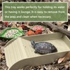 NGORAY Tortoise Feeding Dish with Ramp and Basking-Platform - Leaf