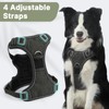 Belababy Large Dog Harness, Anti Pull Dog Harness with Soft