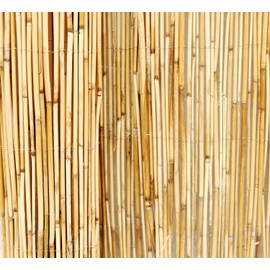 Backyard X-Scapes Natural Reed Fencing Decorative Fence for Backyard Garden Fencing Divider 4 ft H x 8 ft L