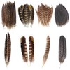 Trsnzul Pheasant Feathers, Pack of 40 Artificial Feathers for Dream