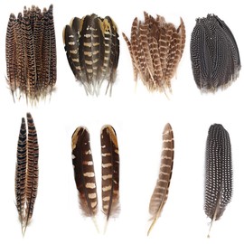 Trsnzul Pheasant Feathers, Pack of 40 Artificial Feathers for Dream Catchers, Pheasant Feathers, Craft Length, Pheasant Tail Feathers, Brown Feathers, DIY Decorative Feathers, 4 Styles, Mixed