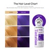 Red by Kiss Tintation Semi-Permanent Hair Color, Aloe Vera Water