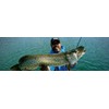 Berkley® FireLine® Fused Original