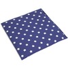 Organic Spelt Cushion 24 x 24 cm Stars Blue -