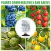 6 Pack Insect Bird Netting - Protect Your Garden Plants