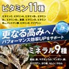 【大容量300g】JAKS ジャックス アルギニン シトルリン L-アルギニン96,000mg L-シトルリン30,000mg パウダー 亜鉛 国内製造 おいしい