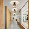 Ruibutrade Black Hallway Light Fixtures, Modern Semi Flush Mount Ceiling
