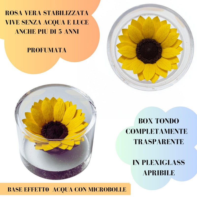 Premium-rose.com Eternal Stabilised Sunflower Round with Sunflower Unique and Refined