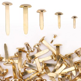 Trimming Shop 500 Pieces Metal Split Paper Fixing Pins Round Head Split Pins Brads with Storage Box for Crafts Toy Making Document Fastener - Various Sizes, Gold