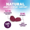 Joint Support Gummies Glucosamine Plus Vitamin E - Nature's Joint