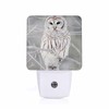 Chrobak LED Night Light,Curious Barred Owl Closeup LED Night Light