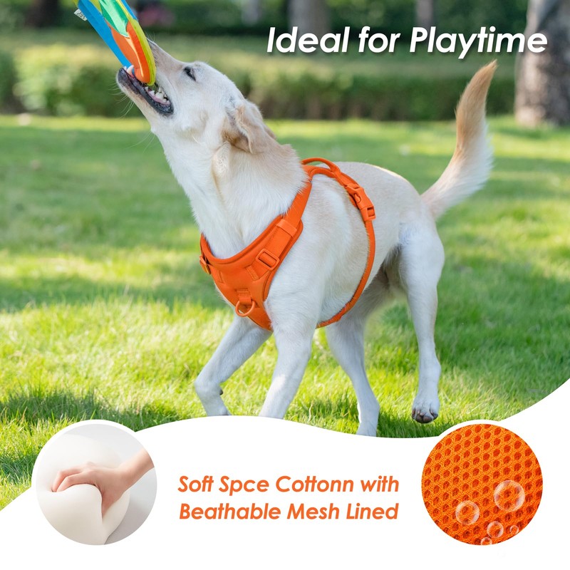 Sunraymascota No Pull Dog Harness, Puppy Vest with Front Clip