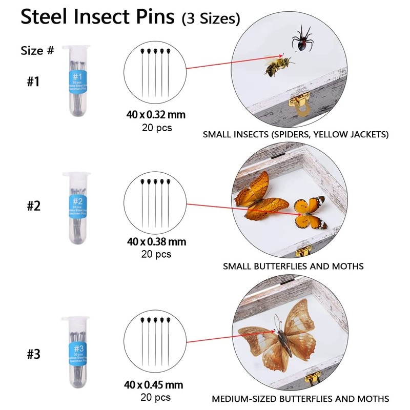 IHEIPYE Insect Display Case Wall Mount Bug Display Case with