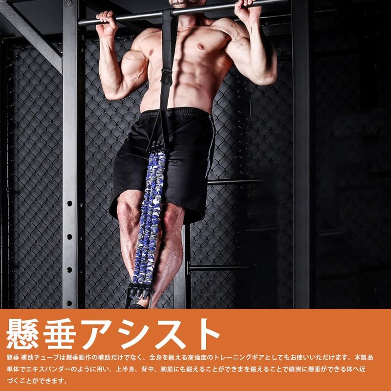 Pull Up Assist Band System Pull Up Assist with Handles