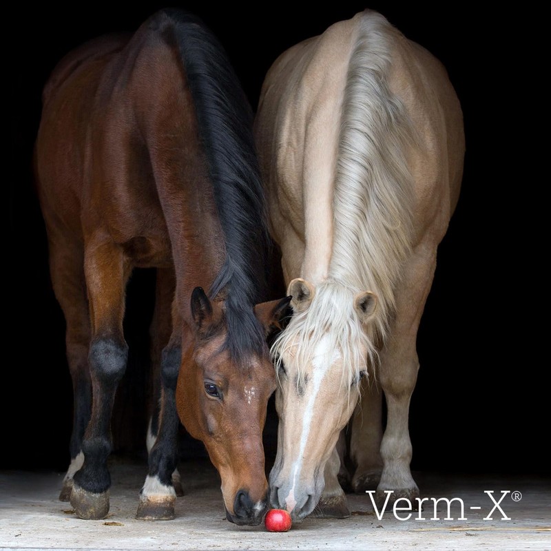 Verm-X kräuterflüssigkeit Für Pferde & Ponies-500 Ml, Clear, Unisex