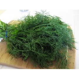 RAISE ME UP: Seeds Mammoth Long Island Dill for Planting Variety for Pickling Non GMO Heirloom 2000 Seeds