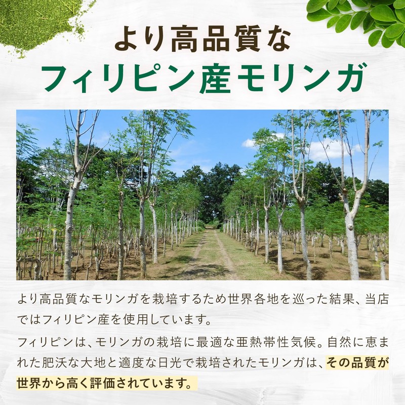 モリンガ サプリ 有機モリンガ 135000mg配合(1袋) 540粒 大容量 3か月分 有機JAS認証 有機原材料使用 GMP認定工場製造