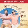 Coq10 600mg Con 120 Softgels Salud Corazon Hecho En Usa