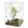 30 x 20 x 15 cm Jumping Spider Run Accessories