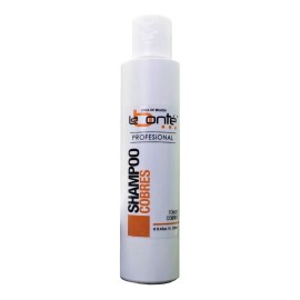 Labonté Shampoo Matizante Cobres Con Keratina 250ml