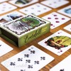 Everdell Playing Cards