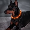 BSEEN Silicone LED Dog Collar - USB Rechargeable Light Up