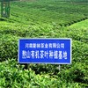 250g Gyokuro Herb Tea Organic Jade Dew Loose Leaf Green