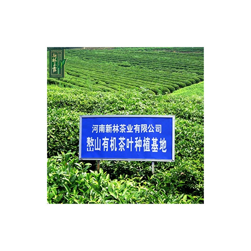 250g Gyokuro Herb Tea Organic Jade Dew Loose Leaf Green