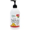 Nirvana Organics Stevia Butterscotch Syrup 500 ml