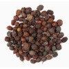 WMHerbs Hawthorn Berry Whole Dried Bulk 1 lb to 5 lb ~ 100% Premium - 2 oz