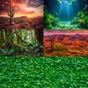 Mountain Valley Aquarium Background Cloudy Blue Sky Fish Tank Background
