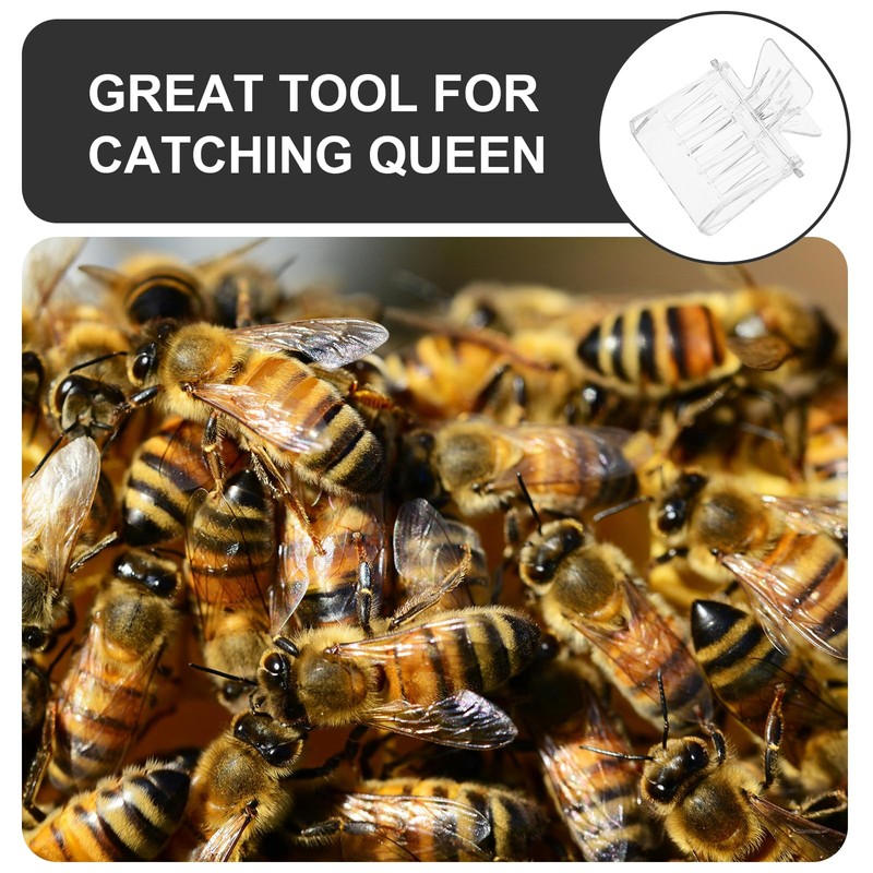 Hemoton Pack of 5 Queen Bee Catcher Queen Bee Cage