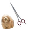 Large Straight Blade 8" Dog Grooming Scissors Shears Razor Sharp