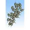 Delmhorst 2497-A100-24 Retainer with 5/16 inch Depth Contact Pins (24-pack)