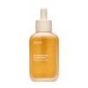 nkm Naturkosmetik München Probiotic Concentrate - 100 ml - Face