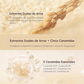 Crema Hidratante de Arroz con Ceramida, Crema Facial Coreana para Levantar y Reafirmar la Piel, Nutre Profundamente, Calma y Mejora la Textura para Todo Tipo de Piel (2 PCS)
