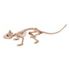 Crazy Bonez Mini Skeleton Rat