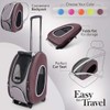 ibiyaya 4 in 1 Pet Carrier, Backpack and CarSeat -