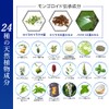 Mongo Ryu Shampoo EX Vol. 17 Renewal Scalp Shampoo for