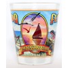 Florida State Mural Shot Glass jks