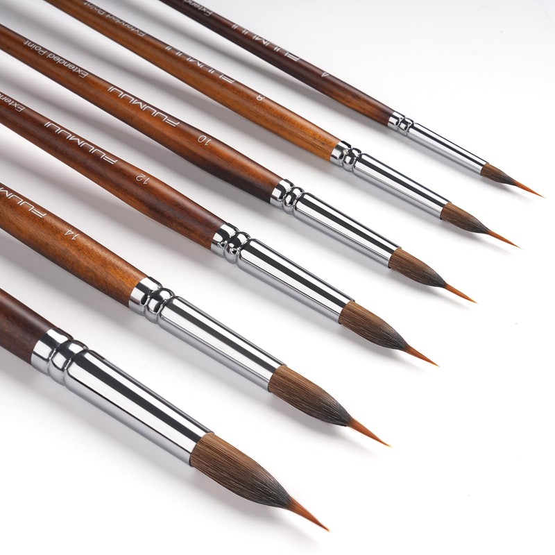 Watercolor Brushes Professional - 6 Pcs Extended Needle Point Brushes