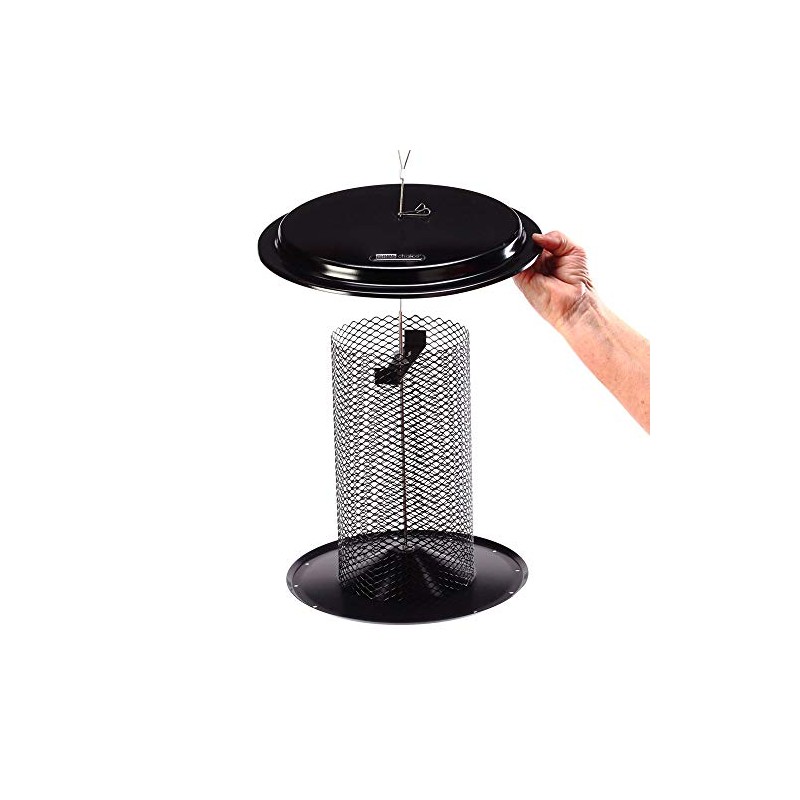 Birds Choice Bugs 'N Nuts Seed Cake | Wild Bird