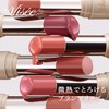 Visee Essence Plump Balm BE380 Oolong Beige 3.3g – Glossy,