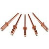 Metal Magery 100 Copper Pop Rivets 1/8 Diameter Copper Mandrel