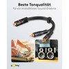 Wentronic Audio Video Cable AVK 308-020 0.2m 1 x RCA